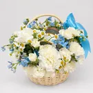 Vitality Basket PT 1