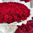 A large bouquet of 200 vibrant red roses wrapped in white paper.