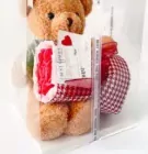 GradHug Bear - Standard