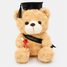 Congrats Grad Teddy 3