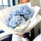 Bouquet of pale blue hydrangeas wrapped in white paper with a navy ribbon.
