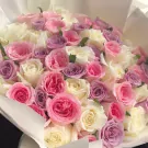A vibrant bouquet of 50 mixed pink roses in various shades of pink and white.