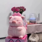 Chubby Piggy (20 cm.) - Piggy