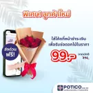 PREMIUM 6 ROSES BOUQUET FOR ONLY 99 Baht - APPLY THE CODE AT CHECKOUT TO GET DISCOUNT - MD99