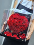 Preserved red roses in a heart-shaped dome, held by hands.