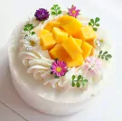 Mango Cake - MANGO