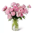 Pink peonies in a clear vase, a beautiful floral arrangement.