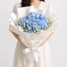 Blue hydrangeas and white baby's breath in white paper wrap, tied with a white ribbon.