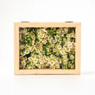 Wooden shadow box filled with fresh white camomile daisies and green leaves.
