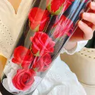 Rosedrops - Rose Lamp