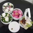 Mieng Kham set with lotus petals, condiments, and a brown sauce in stacked white containers.
