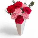 Pink and red carnations arranged in a white vase with green eucalyptus leaves.