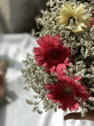 Pink and cream Gerberas with white limonium flowers in a bouquet.