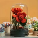 DIY Rose Music Box - Standard