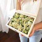Wooden box filled with camomile daisies, held by a person wearing a cream sweater and blue jeans.