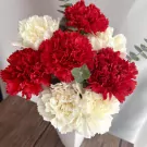 Red and white carnations in a white vase, with eucalyptus sprigs.