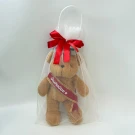 Brown graduation teddy bear in a white mesh bag with a red bow and sash.