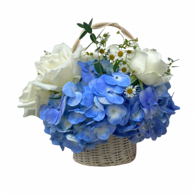 Potico Hydrangea Floral Gift Basket