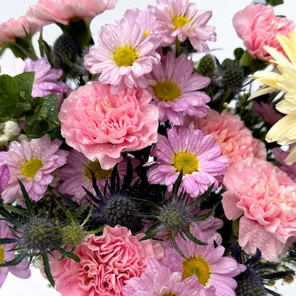 Close-up of a pink and purple floral arrangement with dew drops, featuring carnations and chrysanthemums.
