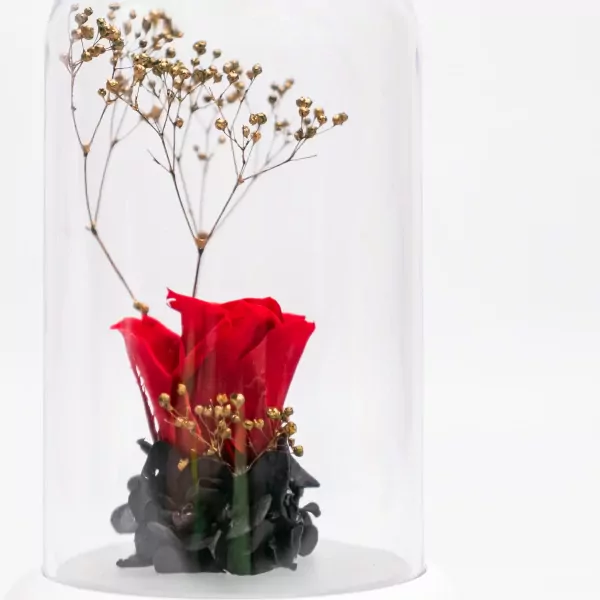 Rose Diffuser