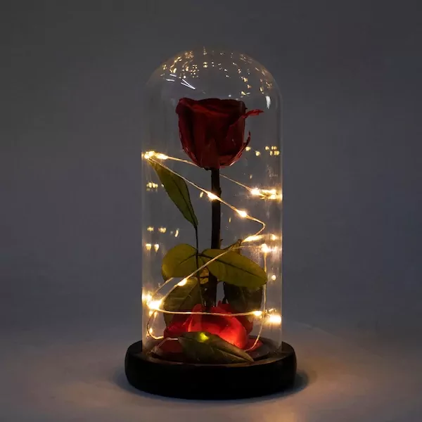 Enchanted preserved red rose in glass dome with LED lights, on a black base.