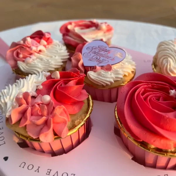 Six vegan Valentine's Day cupcakes with pink and white frosting, some with heart decorations.