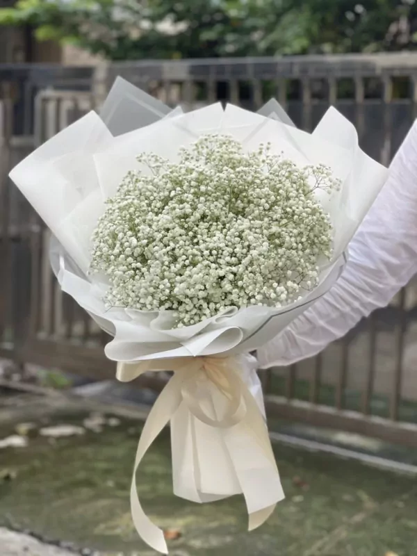 A bouquet of white baby's breath wrapped in white paper and tied with a cream ribbon.