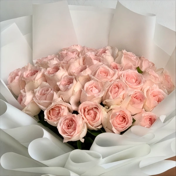 A bouquet of 30 light pink roses with white paper wrapping.
