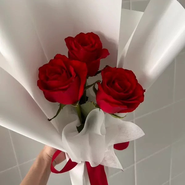 3 Red Roses - 3 red roses