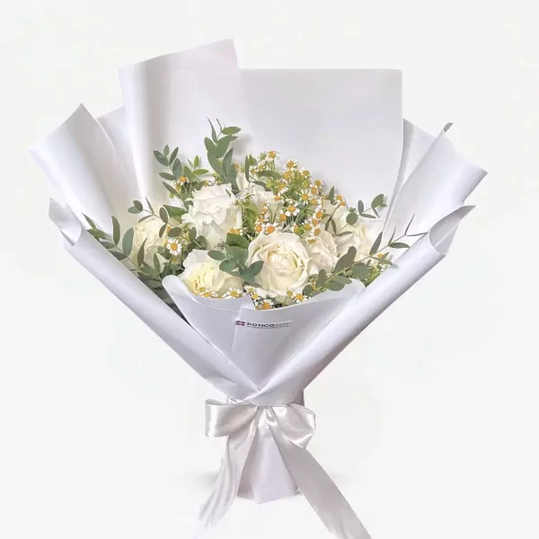 White roses and daisies arranged in a white bouquet with a satin ribbon.