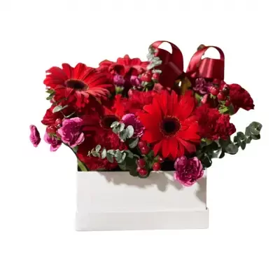 Red gerbera daisies, spray carnations, Mickey Mouse berries, and eucalyptus in a white gift box with a red bow.