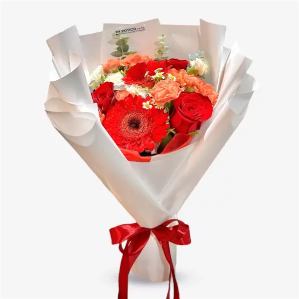A bouquet of red gerbera daisies, roses, and carnations wrapped in white paper, tied with a red ribbon.