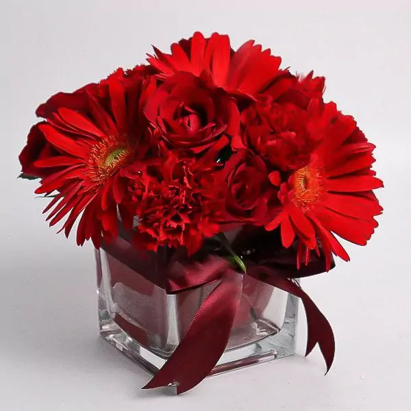Red gerberas, carnations, and roses in a square glass vase with a burgundy ribbon.
