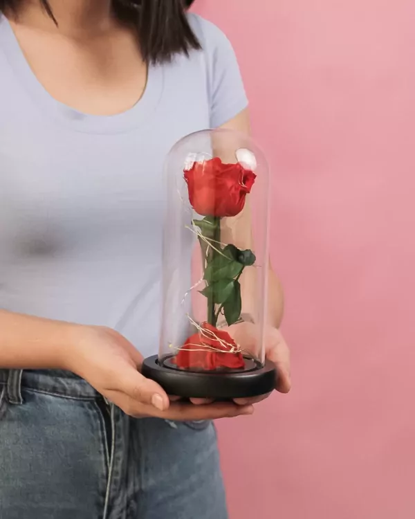 A person holds a preserved red rose under a glass dome with fairy lights.