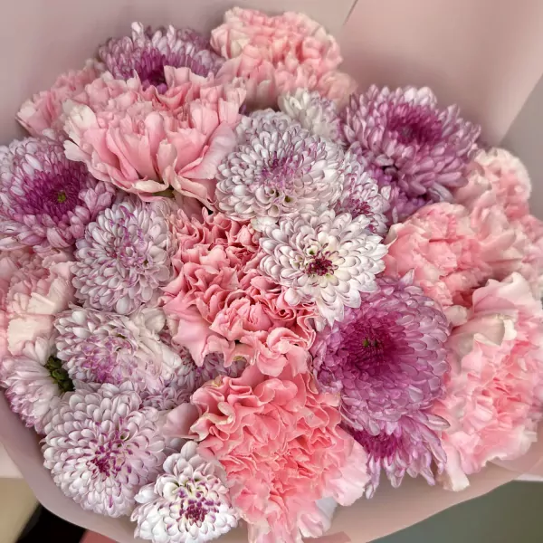 A bouquet of pink carnations and purple and pink chrysanthemums.
