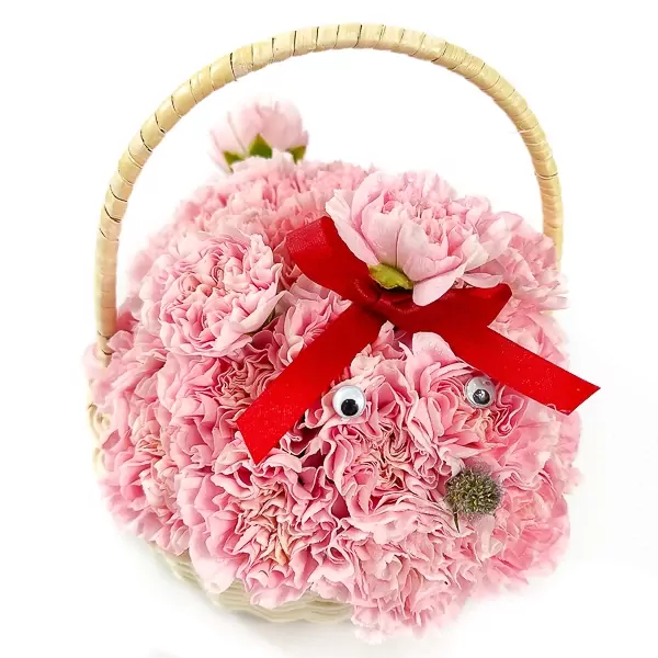 Pinky Cotton Basket - Pinky Cotton Basket