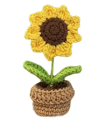 Crochet Sunny Pot