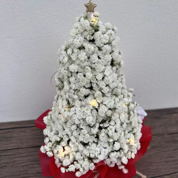 White gypsophila Christmas tree with fairy lights and star topper, on a red base.