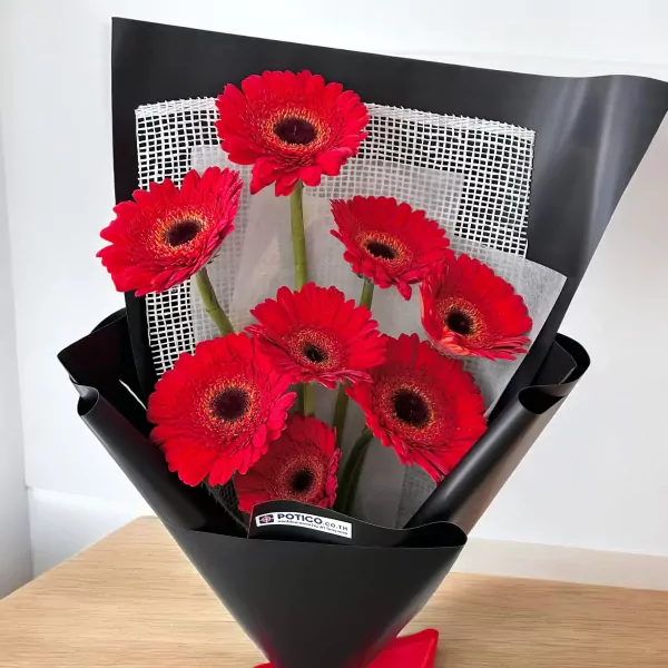 A bouquet of vibrant red gerbera daisies, arranged in a black paper wrap.