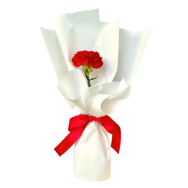 Red carnation in white paper bouquet with red ribbon.