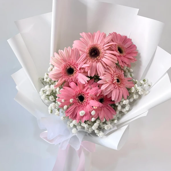 Pink gerbera daisies and baby's breath in white paper with a pink ribbon.