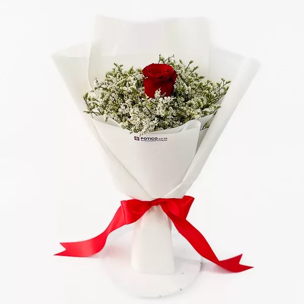 A single red rose surrounded by white limonium, wrapped in white paper and tied with a red ribbon.