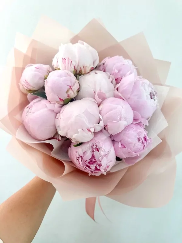 15 Peony Bouquet - 15 Peonies