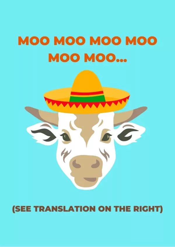 Cow wearing a sombrero says "Moo Moo Moo" with "See Translation" below.