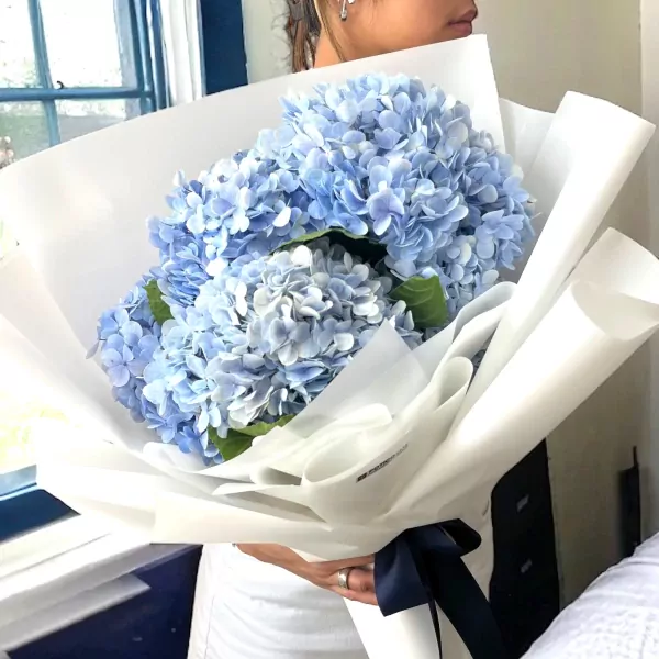 Bouquet of pale blue hydrangeas wrapped in white paper with a navy ribbon.