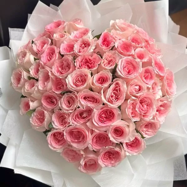 Heart-shaped bouquet of 50 delicate pink roses, wrapped in white tissue paper.