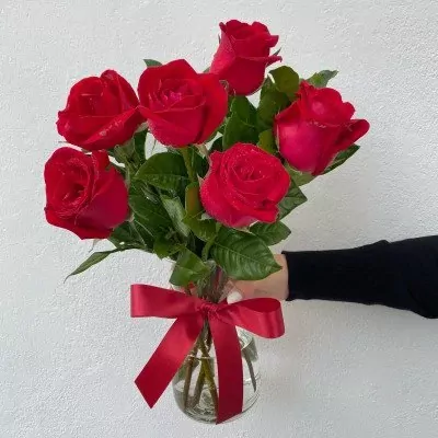 Six red roses with water droplets in a clear vase tied with a red ribbon, held by a hand.