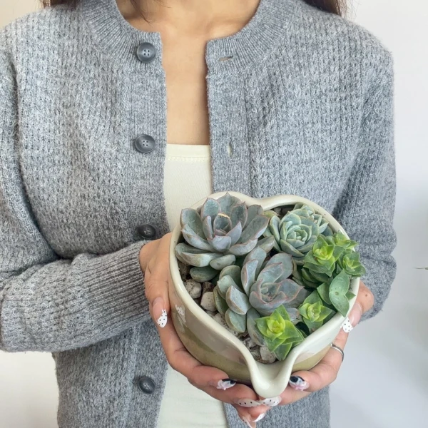 Person holding a heart-shaped planter with assorted succulents.