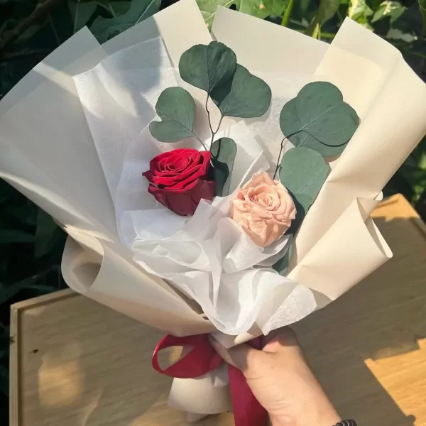 A hand holding a bouquet of two preserved roses, one red and one peach, with eucalyptus leaves, wrapped in cream and white paper.