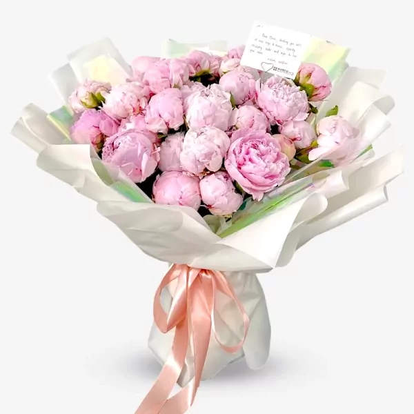 A bouquet of 30 lush pink peonies wrapped in white paper, tied with a pink ribbon.